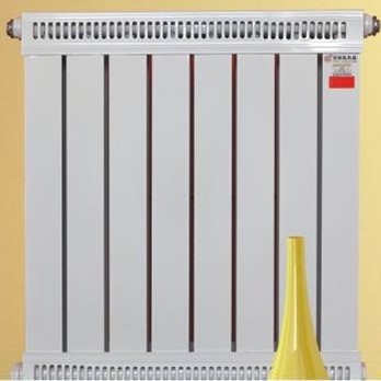 图片20钢铝复合柱形散热器